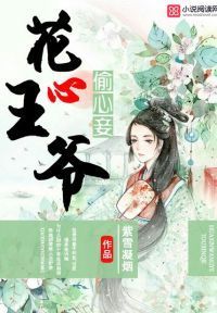 花心王爷偷心妾